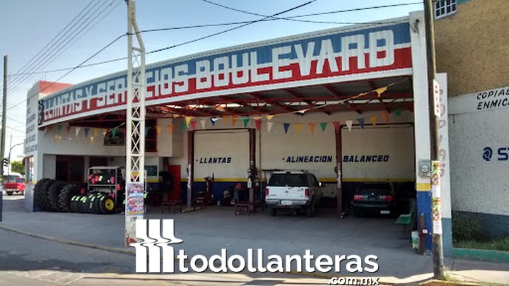 Alineación Y Balanceo Cortazar