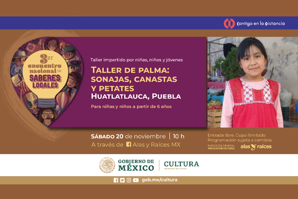 Alineación Y Balanceo Parras