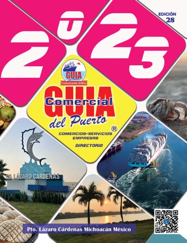Alineación Y Balanceo Zimapán